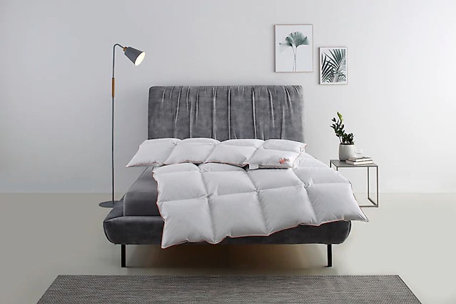 RIBECO Daunenbettdecke »Richard, Bettdecken für Sommer oder Winter, Made in günstig online kaufen