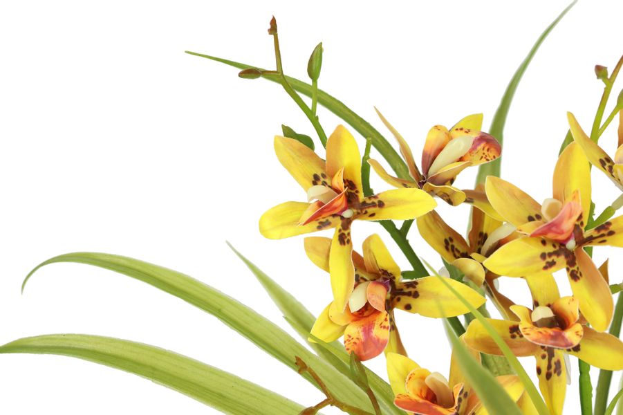 I.GE.A. Kunstblume "Kunstblume Schmetterling Orchidee mit Keramiktopf" Mit günstig online kaufen