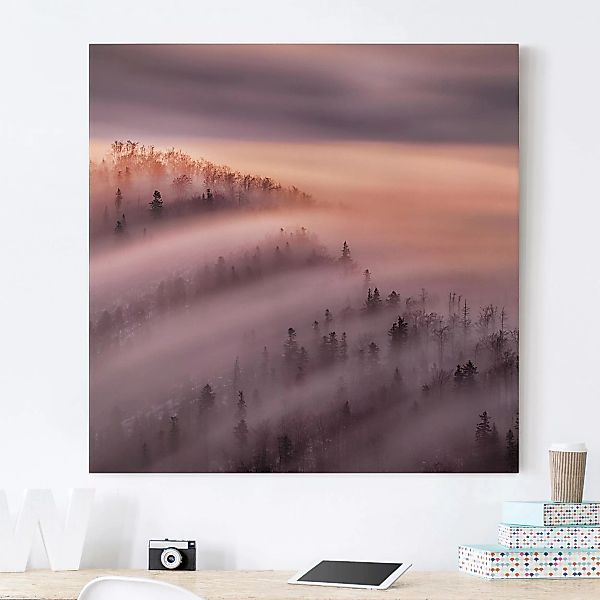 Leinwandbild Wald - Quadrat Nebelflut günstig online kaufen