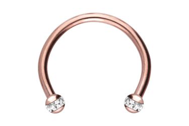 PIERCINGLINE Nasenpiercing Chirurgenstahl Hufeisenring EPOXY-RING-KUGELN (H günstig online kaufen