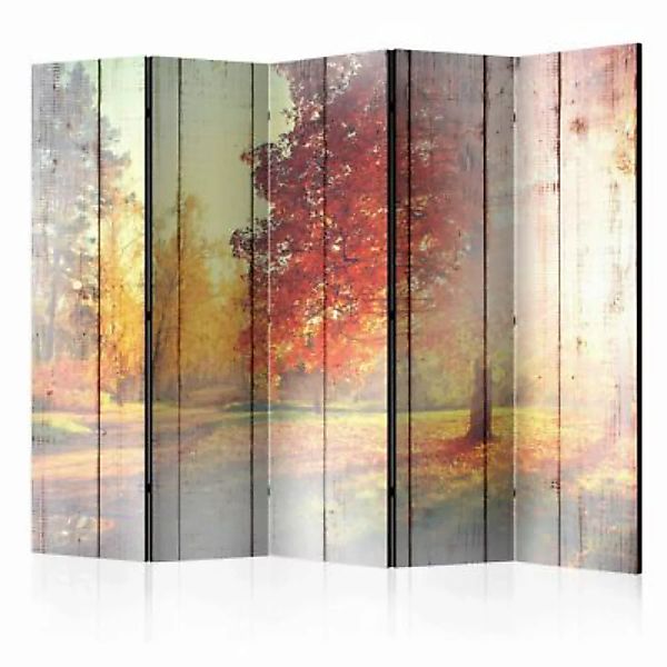 artgeist Paravent Autumn Sun II [Room Dividers] mehrfarbig Gr. 225 x 172 günstig online kaufen