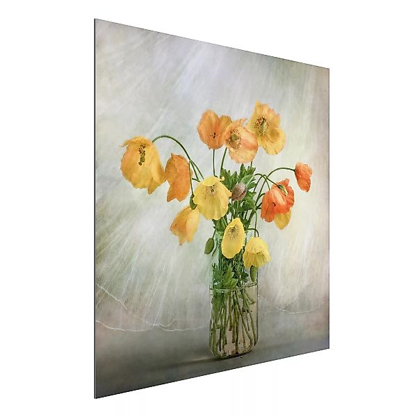Alu-Dibond Bild Blumen - Quadrat Mohnblumen in einer Vase günstig online kaufen