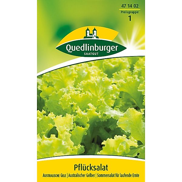 Quedlinburger Pflück Salat ''Australische Gele'' günstig online kaufen