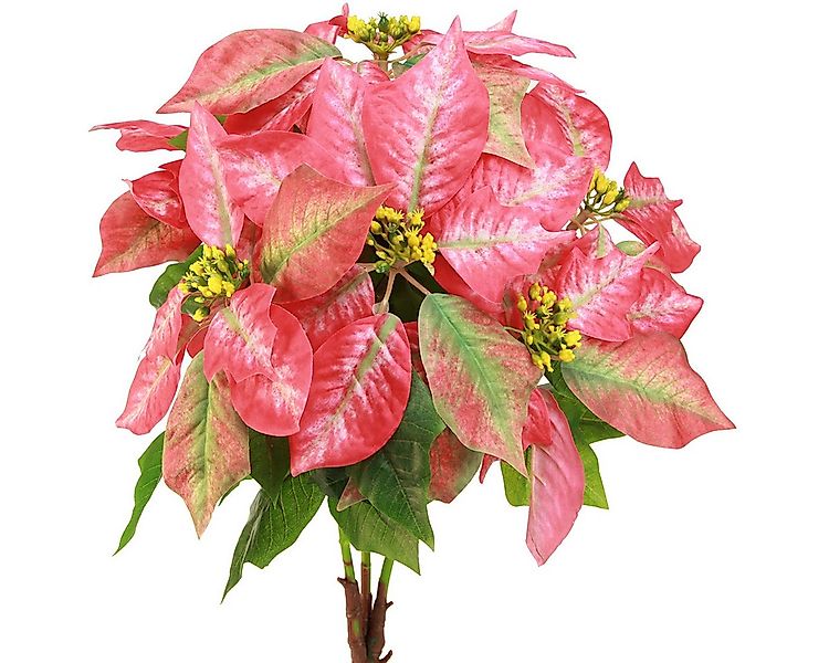 Winterliche Kunstpflanze Weihnachtsstern Rot Rosa Kunstblume 53cm Deko Wint günstig online kaufen