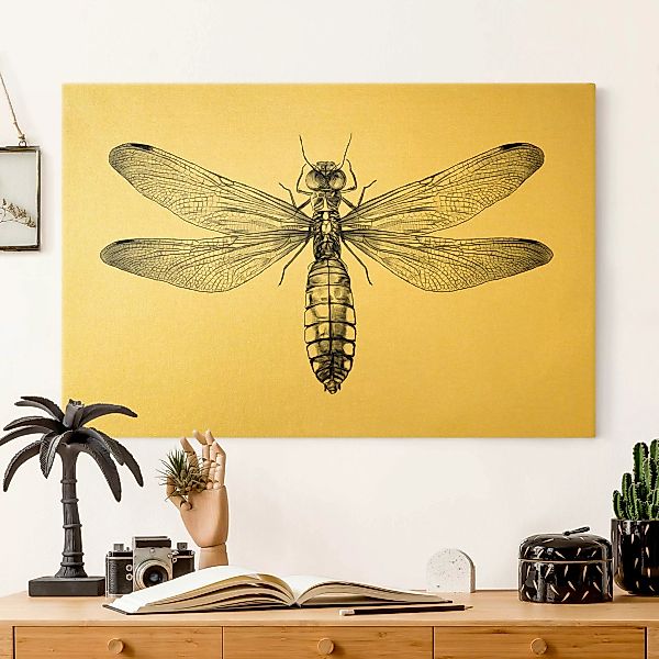 Leinwandbild Illustration fliegende Libelle Schwarz günstig online kaufen