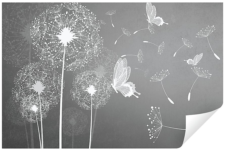 Wallarena Fototapete Pusteblumen Blumen Grau Schmetterling günstig online kaufen