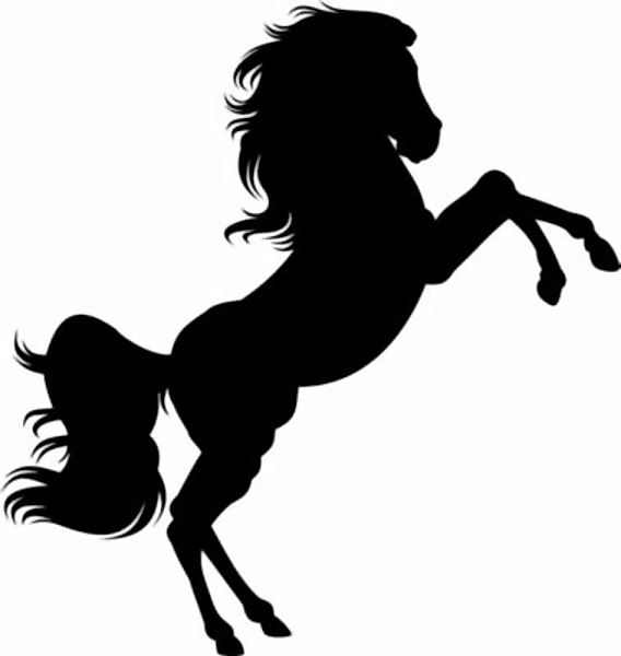 EmmiJules Wandtattoo Pferd - strahlende Mädchenaugen schwarz Gr. 60 x 60  K günstig online kaufen
