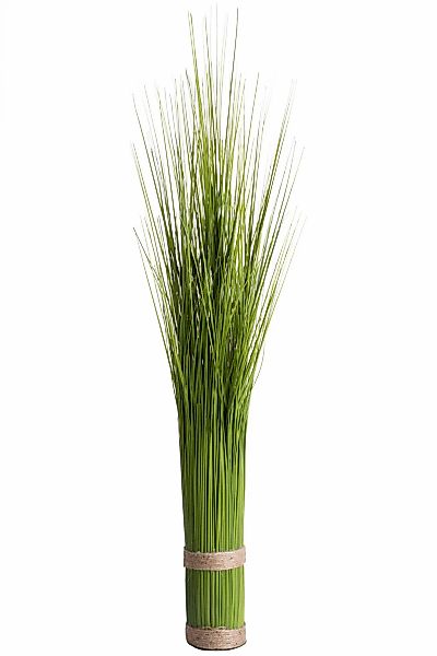Botanic-Haus Kunstgras "Grasarrangement selbststehend" günstig online kaufen