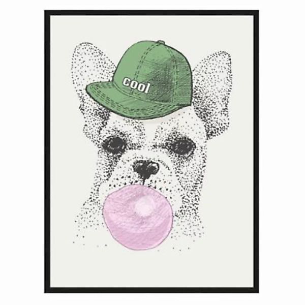 Any Image Wandbild Cooler Hund schwarz Gr. 40 x 50 günstig online kaufen