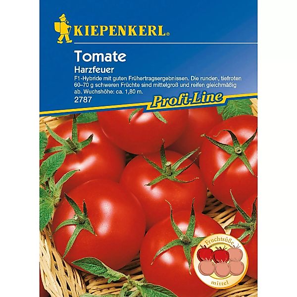 Kiepenkerl Profi-Line Tomaten Harzfeuer F1-Hybride günstig online kaufen