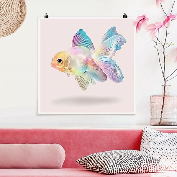 Poster - Quadrat Fisch in Pastell günstig online kaufen