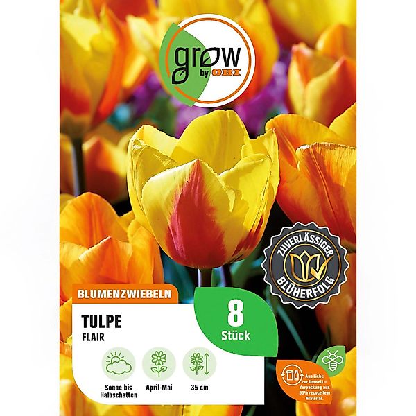 GROW by OBI Tulpe Flair Orange-Gelb 8 Stück Tulipa single early Flair günstig online kaufen