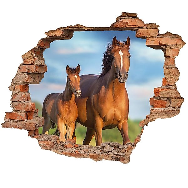 WallSpirit Wandtattoo Wanddurchbruch "Pferd mit Fohlen", günstig online kaufen