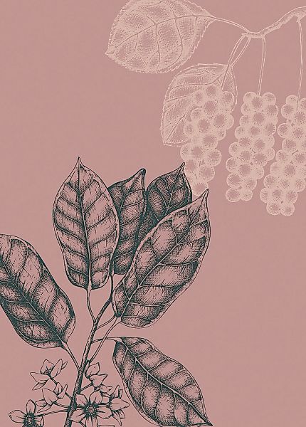 Komar Bild "Wild Berry" Natur 1 Stk. tlg. Wandbild zur Dekoration - ohne Ra günstig online kaufen