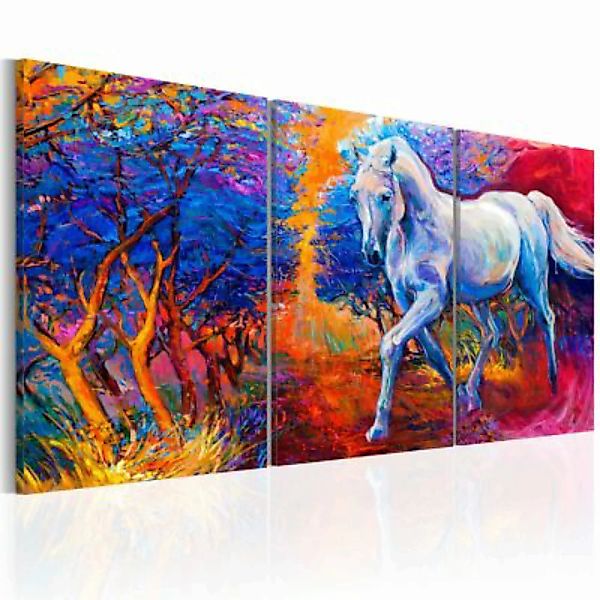 artgeist Wandbild Valley of Fantasy mehrfarbig Gr. 60 x 30 günstig online kaufen