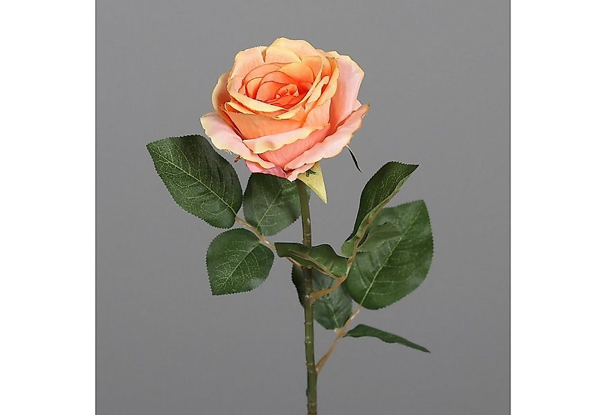 Kunstblume Orange, Durchmesser 10 cm, DPI, Höhe 48 cm, Farbe: Orange, Motiv günstig online kaufen