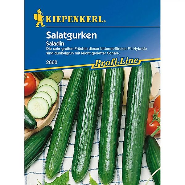 Kiepenkerl Salatgurke Saladin günstig online kaufen