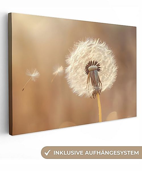 OneMillionCanvasses® Leinwandbild Löwenzahn - Beige - Natur - Blume, Fotodr günstig online kaufen