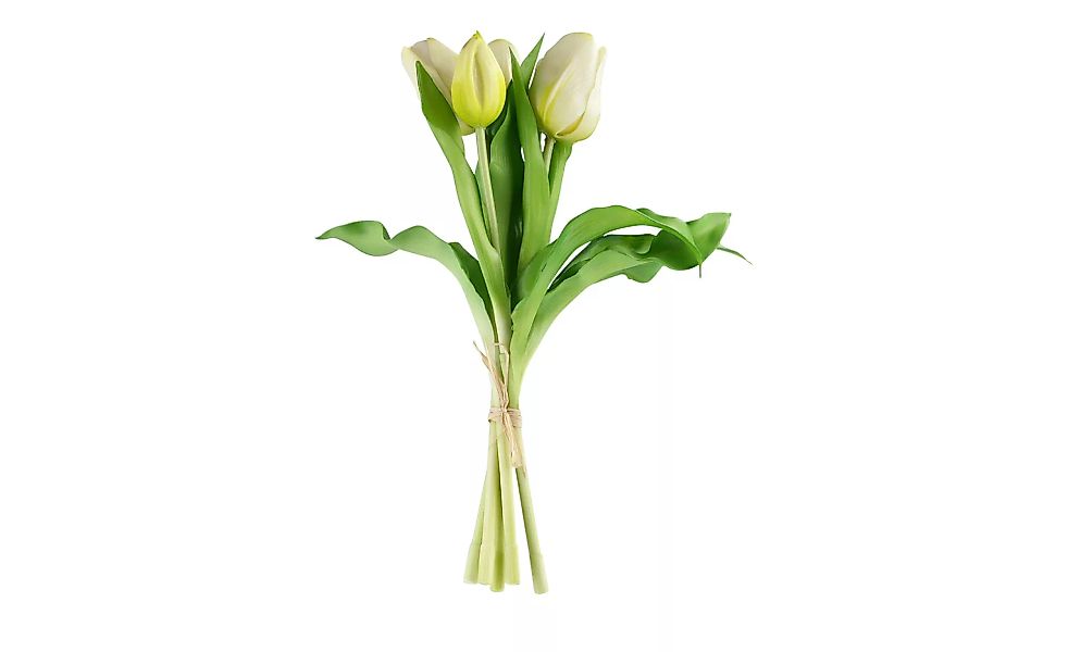 Tulpenbund - grün - Kunststoff - 28 cm - Dekoration > Kunstblumen - Möbel K günstig online kaufen
