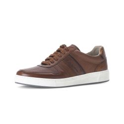 Gabor Pius Gabor Sneaker low Glattleder günstig online kaufen