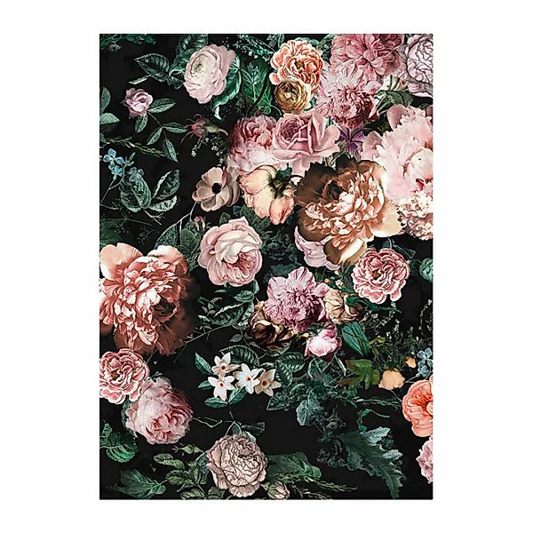 Komar Poster Charming Wild Rosen B/L: ca. 30x40 cm günstig online kaufen