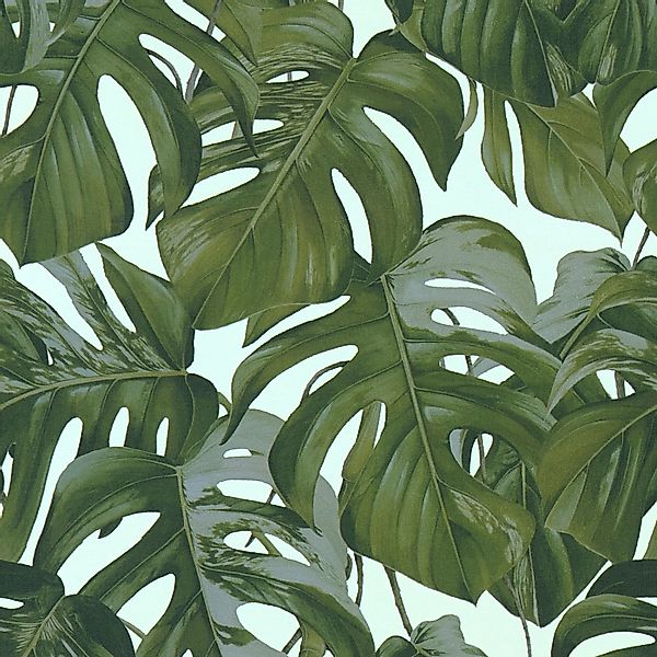 Bricoflor Monstera Tapete Weiß Grün Vlies Palmentapete im Tropical Stil Ide günstig online kaufen