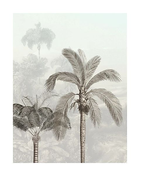 Komar Poster »Jungle Panorama«, (1 St.) günstig online kaufen