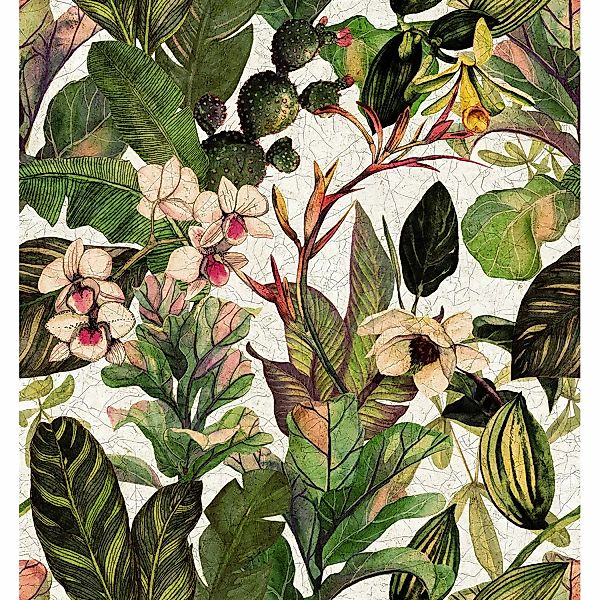 Marburg Fototapete Floral Modern 3,4 m x 3,18 m Grün FSC® günstig online kaufen