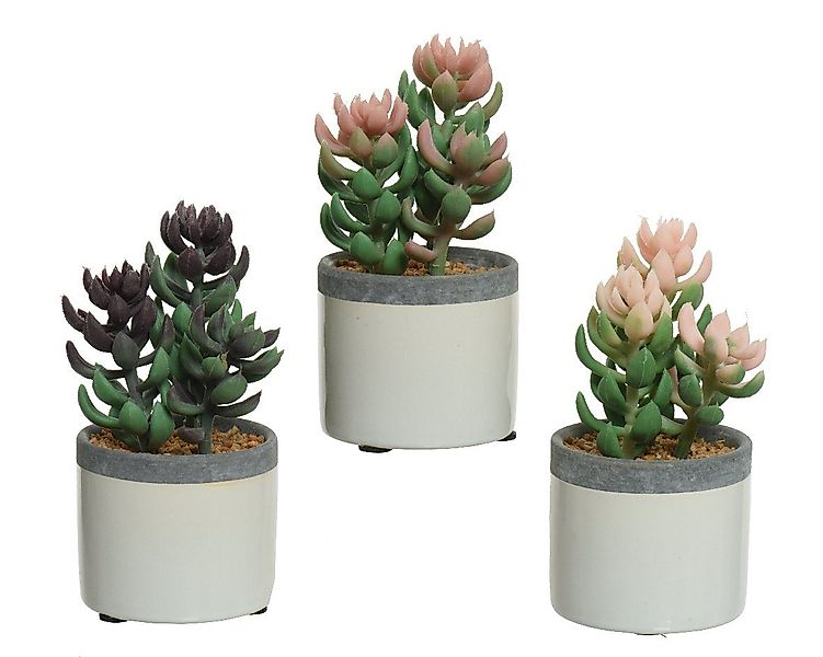 Kunstpflanze, Decoris season decorations, Kunstblumen Sukkulenten günstig online kaufen