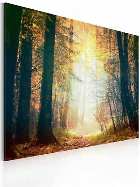 artgeist Wandbild Schönheit des Herbstes mehrfarbig Gr. 60 x 40 günstig online kaufen