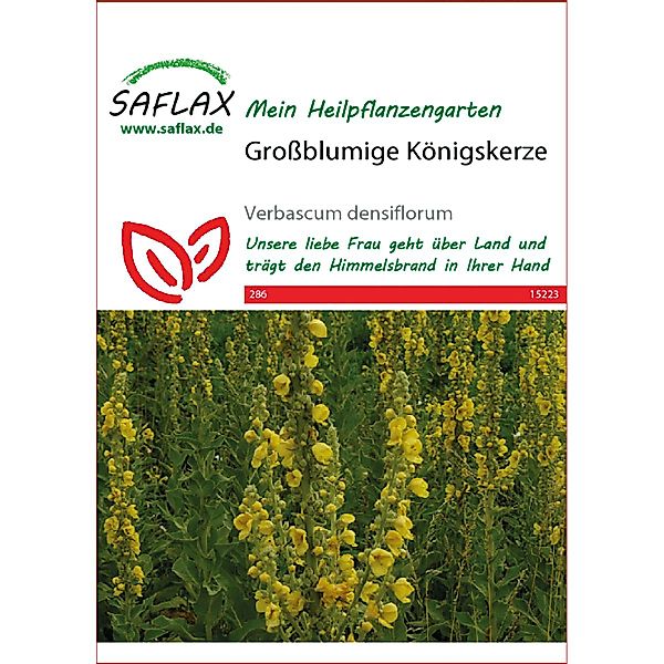 SAFLAX Blumensamen SAFLAX - Heilpflanzen - günstig online kaufen