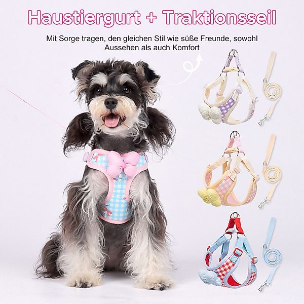 Refttenw Hunde-Geschirr Hundegeschirr mit Hundeleine Kleine günstig online kaufen