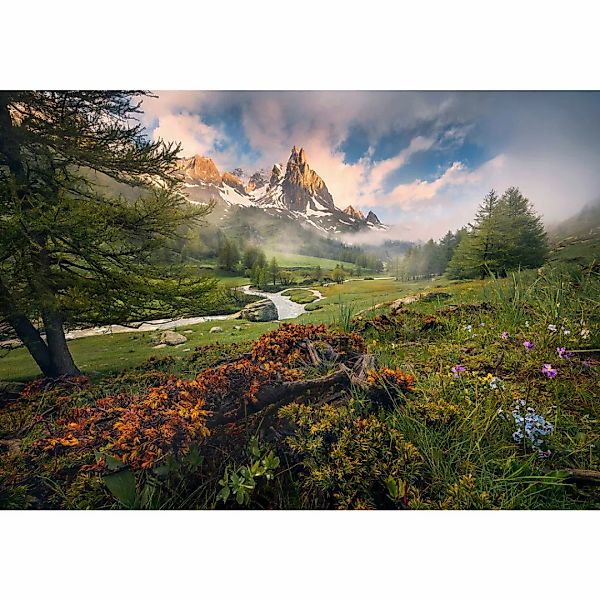 Komar Fototapete The Last Paradise B/L: ca. 400x280 cm günstig online kaufen