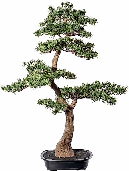 Creativ green Kunstbonsai »Bonsai Zeder« günstig online kaufen