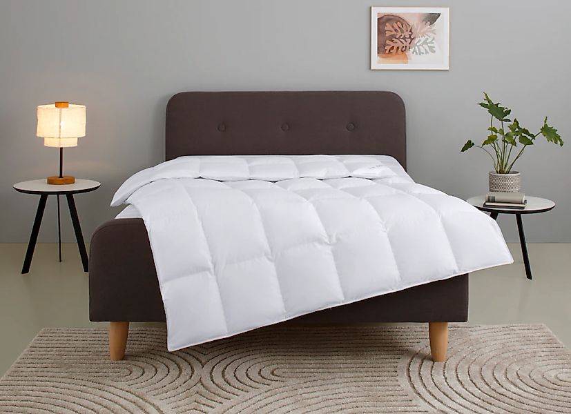 Home affaire Daunenbettdecke "Litrone, Bettdecke 135x200 cm, 155x220 cm, 20 günstig online kaufen