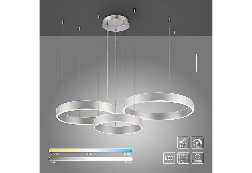 Paul Neuhaus Pendelleuchte SCULLI, LED fest integriert, warmweiß - kaltweiß günstig online kaufen