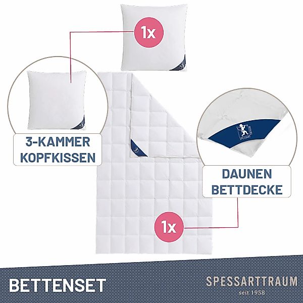 SPESSARTTRAUM Gänsedaunenbettdecke + Kopfkissen "Premium******" Sparset: 4 günstig online kaufen