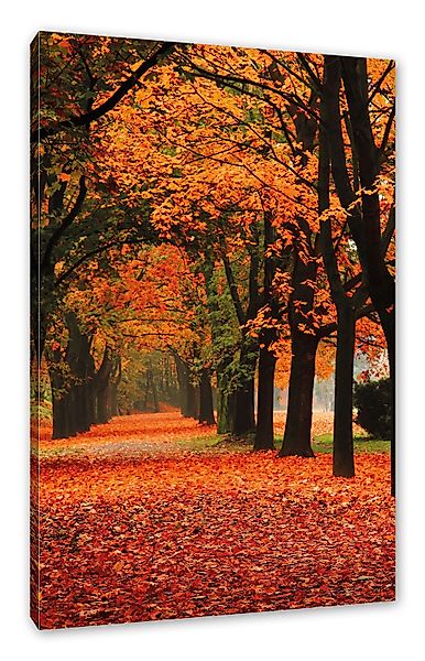 Pixxprint Leinwandbild Baumallee im Herbst, Baumallee günstig online kaufen