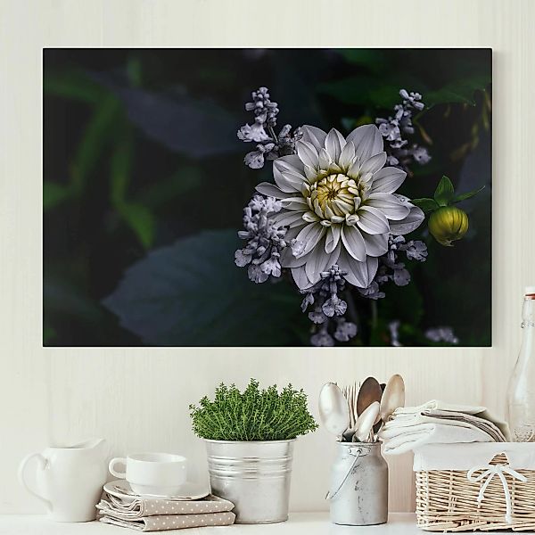 Leinwandbild Blumen - Querformat Weiße Dahlie günstig online kaufen
