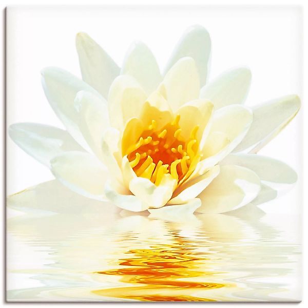 Artland Wandbild "Lotusblume schwimmt im Wasser", Blumen, (1 St.) günstig online kaufen