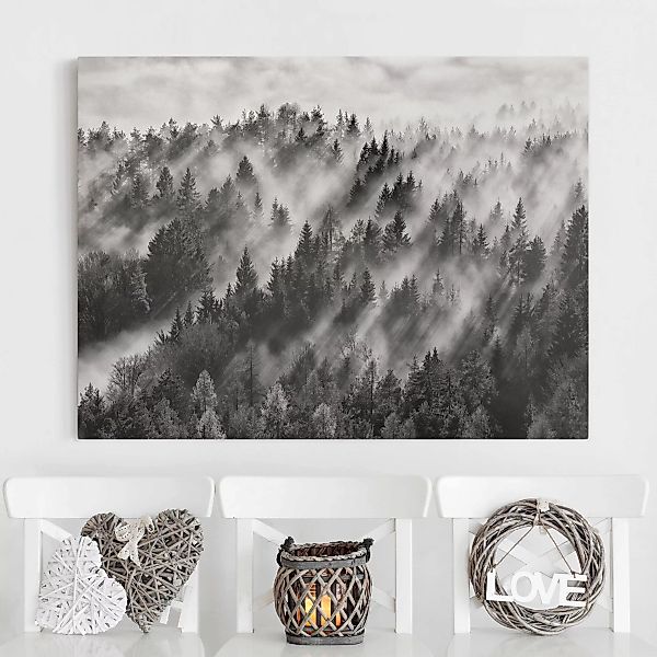 Leinwandbild Schwarz-Weiß - Querformat Lichtstrahlen im Nadelwald günstig online kaufen