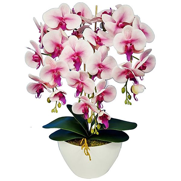 Kunstblume Orchidee, damich, Höhe 60 cm, günstig online kaufen