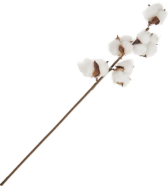 Kunstzweig Baumwol Zweig, DPI, 49 cm günstig online kaufen