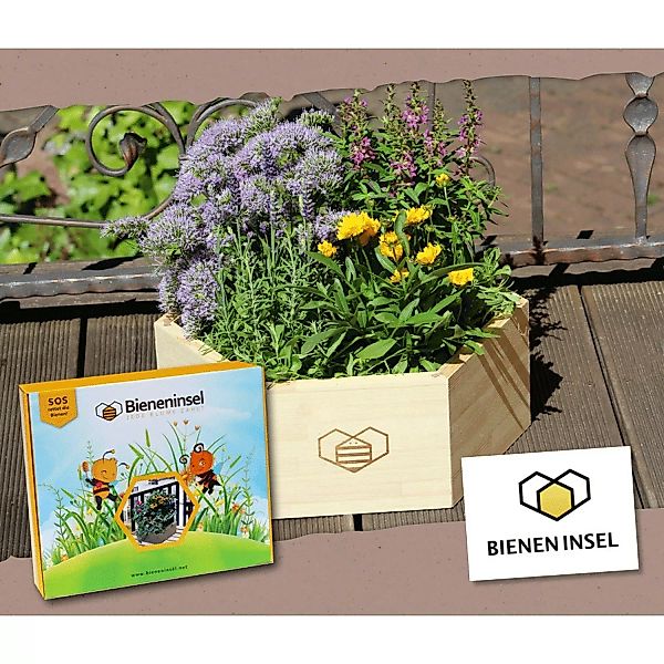 Bieneninsel - Großes Pflanzset mit Holzwabe - Futteroase für Bienen und Ins günstig online kaufen