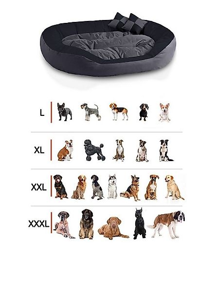 BedDog Tierbett Hundebett SABA 4in1 mit Rand günstig online kaufen