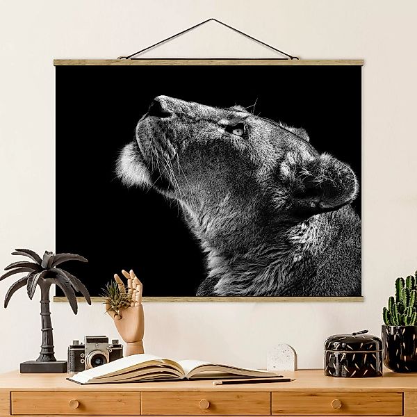 Stoffbild Tiere mit Posterleisten - Querformat Portrait einer Löwin günstig online kaufen