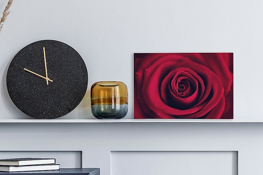 OneMillionCanvasses® Leinwandbild Rosen - Rot - günstig online kaufen