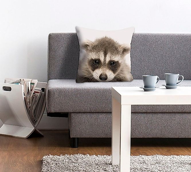 queence Dekokissen "Dean" Kissenhülle,Waschbär,Lustig,Tiere,Niedlich,Freund günstig online kaufen