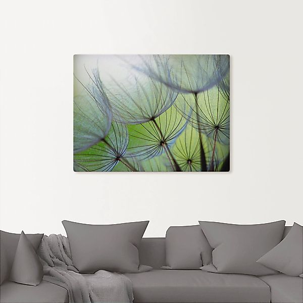 Artland Wandbild "Pusteblumen-Samen II", Blumen, (1 St.), als Leinwandbild, günstig online kaufen