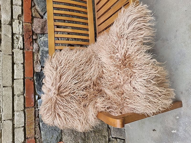 Provellus Fellteppich Premium, Langhaar Island Schaffell Lammfell Natur loc günstig online kaufen